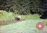Standbild Japanische Bauer Kyoto Japan, 1946, aus Sekunde 19 historischem Filmmaterial Videoclip 65675060728