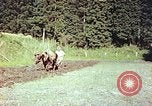 Standbild Japanische Bauer Kyoto Japan, 1946, aus Sekunde 27 historischem Filmmaterial Videoclip 65675060728