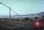 Standbild Japanische Bauer Kyoto Japan, 1946, aus Sekunde 59 historischem Filmmaterial Videoclip 65675060728
