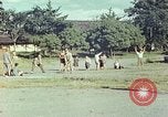 Image of Japanese children Kyoto Japan, 1946, second 3 stock footage video 65675060730