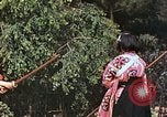 Standbild Junge japanische Frauen zeigen klassische Formen der Naginata-Selbstverteidigung Kyoto Japan, 1946, aus Sekunde 62 historischem Filmmaterial Videoclip 65675060732