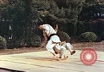 Standbild Judo Übung Japan, 1946, aus Sekunde 36 historischem Filmmaterial Videoclip 65675060737