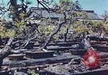 Standbild japanischen Baumschule Mann Niihama Japan, 1946, aus Sekunde 3 historischem Filmmaterial Videoclip 65675060742