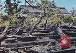 Standbild japanischen Baumschule Mann Niihama Japan, 1946, aus Sekunde 4 historischem Filmmaterial Videoclip 65675060742