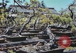 Standbild japanischen Baumschule Mann Niihama Japan, 1946, aus Sekunde 6 historischem Filmmaterial Videoclip 65675060742