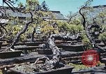 Standbild japanischen Baumschule Mann Niihama Japan, 1946, aus Sekunde 8 historischem Filmmaterial Videoclip 65675060742