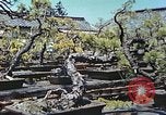 Standbild japanischen Baumschule Mann Niihama Japan, 1946, aus Sekunde 9 historischem Filmmaterial Videoclip 65675060742