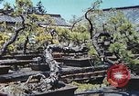 Standbild japanischen Baumschule Mann Niihama Japan, 1946, aus Sekunde 10 historischem Filmmaterial Videoclip 65675060742