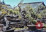 Standbild japanischen Baumschule Mann Niihama Japan, 1946, aus Sekunde 13 historischem Filmmaterial Videoclip 65675060742
