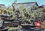 Standbild japanischen Baumschule Mann Niihama Japan, 1946, aus Sekunde 15 historischem Filmmaterial Videoclip 65675060742