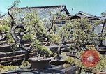 Standbild japanischen Baumschule Mann Niihama Japan, 1946, aus Sekunde 18 historischem Filmmaterial Videoclip 65675060742