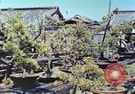 Standbild japanischen Baumschule Mann Niihama Japan, 1946, aus Sekunde 21 historischem Filmmaterial Videoclip 65675060742