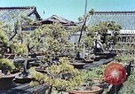 Standbild japanischen Baumschule Mann Niihama Japan, 1946, aus Sekunde 23 historischem Filmmaterial Videoclip 65675060742