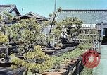 Standbild japanischen Baumschule Mann Niihama Japan, 1946, aus Sekunde 24 historischem Filmmaterial Videoclip 65675060742