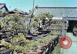 Standbild japanischen Baumschule Mann Niihama Japan, 1946, aus Sekunde 25 historischem Filmmaterial Videoclip 65675060742