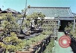 Standbild japanischen Baumschule Mann Niihama Japan, 1946, aus Sekunde 26 historischem Filmmaterial Videoclip 65675060742
