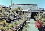 Standbild japanischen Baumschule Mann Niihama Japan, 1946, aus Sekunde 27 historischem Filmmaterial Videoclip 65675060742