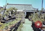 Standbild japanischen Baumschule Mann Niihama Japan, 1946, aus Sekunde 28 historischem Filmmaterial Videoclip 65675060742