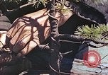 Standbild japanischen Baumschule Mann Niihama Japan, 1946, aus Sekunde 33 historischem Filmmaterial Videoclip 65675060742
