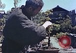 Standbild japanischen Baumschule Mann Niihama Japan, 1946, aus Sekunde 52 historischem Filmmaterial Videoclip 65675060742
