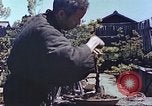 Standbild japanischen Baumschule Mann Niihama Japan, 1946, aus Sekunde 53 historischem Filmmaterial Videoclip 65675060742
