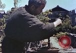 Standbild japanischen Baumschule Mann Niihama Japan, 1946, aus Sekunde 55 historischem Filmmaterial Videoclip 65675060742