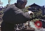 Standbild japanischen Baumschule Mann Niihama Japan, 1946, aus Sekunde 56 historischem Filmmaterial Videoclip 65675060742