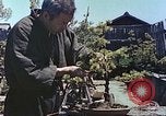 Standbild japanischen Baumschule Mann Niihama Japan, 1946, aus Sekunde 60 historischem Filmmaterial Videoclip 65675060742