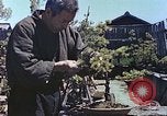 Standbild japanischen Baumschule Mann Niihama Japan, 1946, aus Sekunde 62 historischem Filmmaterial Videoclip 65675060742
