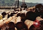 Standbild Sägewerk Maizuru Kyoto Japan, 1946, aus Sekunde 34 historischem Filmmaterial Videoclip 65675060744