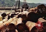Standbild Sägewerk Maizuru Kyoto Japan, 1946, aus Sekunde 35 historischem Filmmaterial Videoclip 65675060744