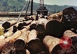 Standbild Sägewerk Maizuru Kyoto Japan, 1946, aus Sekunde 37 historischem Filmmaterial Videoclip 65675060744