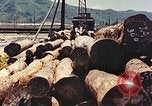 Standbild Sägewerk Maizuru Kyoto Japan, 1946, aus Sekunde 39 historischem Filmmaterial Videoclip 65675060744