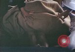 Image of Japanese doctor Nagasaki Japan, 1945, second 39 stock footage video 65675060748