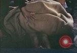 Image of Japanese doctor Nagasaki Japan, 1945, second 41 stock footage video 65675060748