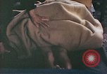 Image of Japanese doctor Nagasaki Japan, 1945, second 42 stock footage video 65675060748