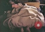 Image of Japanese doctor Nagasaki Japan, 1945, second 48 stock footage video 65675060748