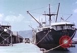 Immagine di American cargo Kobe Giappone, 1946, secondo 18 filmato di repertorio 65675060783
