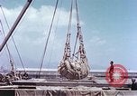 Immagine di American cargo Kobe Giappone, 1946, secondo 29 filmato di repertorio 65675060783