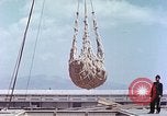 Immagine di American cargo Kobe Giappone, 1946, secondo 36 filmato di repertorio 65675060783