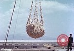 Immagine di American cargo Kobe Giappone, 1946, secondo 37 filmato di repertorio 65675060783