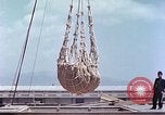 Immagine di American cargo Kobe Giappone, 1946, secondo 38 filmato di repertorio 65675060783