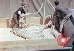 Immagine di American cargo Kobe Giappone, 1946, secondo 49 filmato di repertorio 65675060783