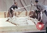 Immagine di American cargo Kobe Giappone, 1946, secondo 50 filmato di repertorio 65675060783