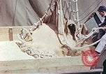 Immagine di American cargo Kobe Giappone, 1946, secondo 52 filmato di repertorio 65675060783