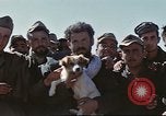 Image of 1st Division soldiers Africa, 1942, second 52 stock footage video 65675060788