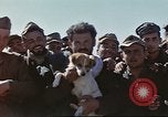 Image of 1st Division soldiers Africa, 1942, second 57 stock footage video 65675060788