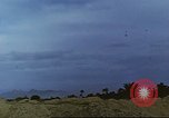 Image of 1st Division soldiers Africa, 1942, second 6 stock footage video 65675060791