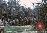 Image of 1st Division soldiers Africa, 1942, second 3 stock footage video 65675060792