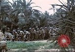 Image of 1st Division soldiers Africa, 1942, second 6 stock footage video 65675060792